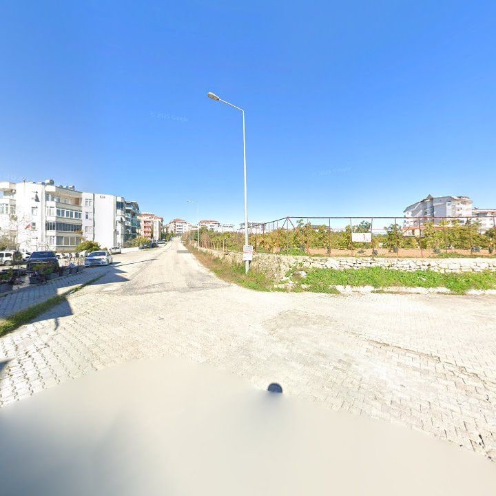 Fotoğraf 11