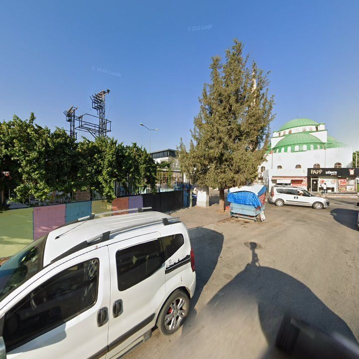 Fotoğraf 9