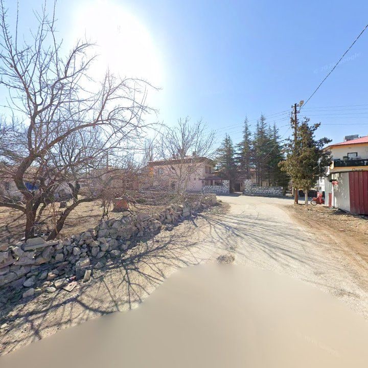 Fotoğraf 8