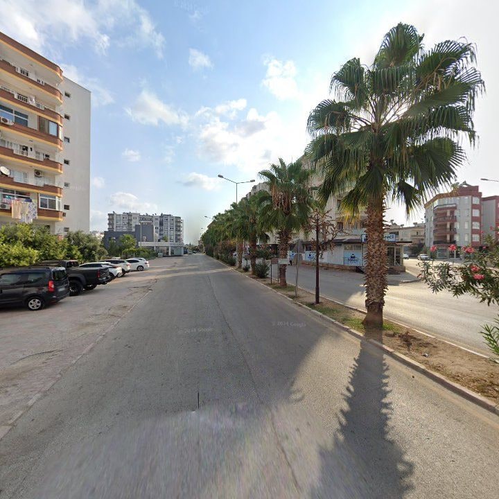 Fotoğraf 11