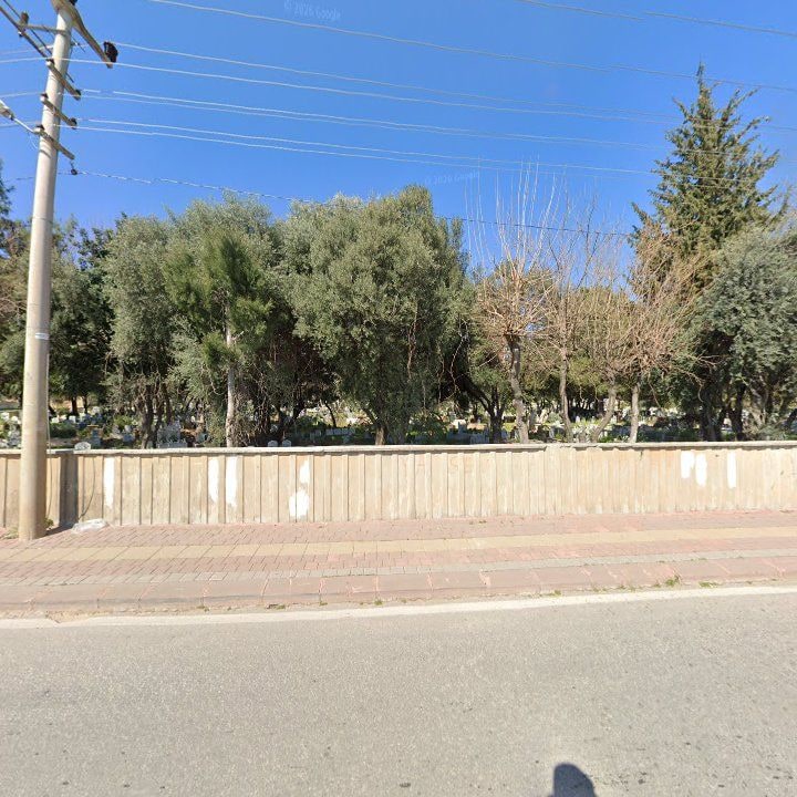 Fotoğraf 6