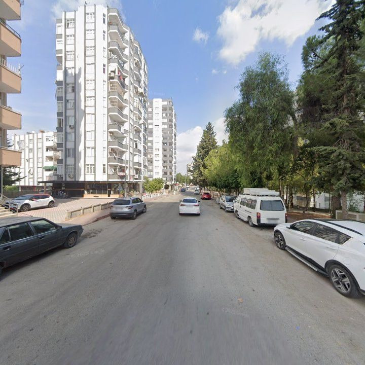 Fotoğraf 7