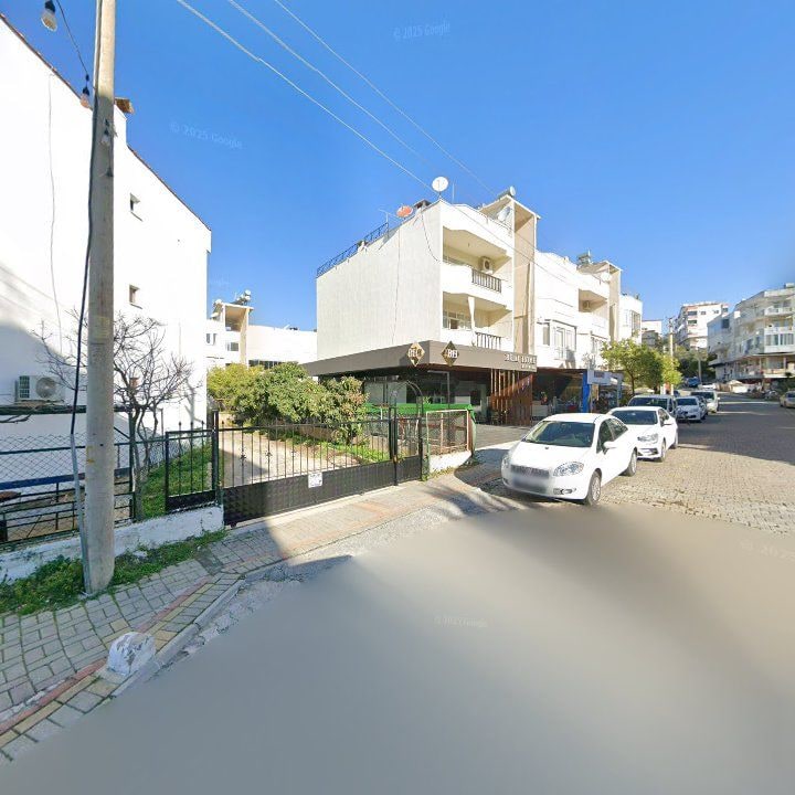Fotoğraf 11