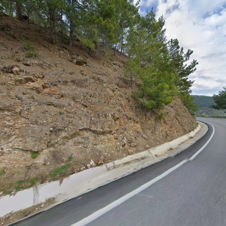 Fotoğraf 11