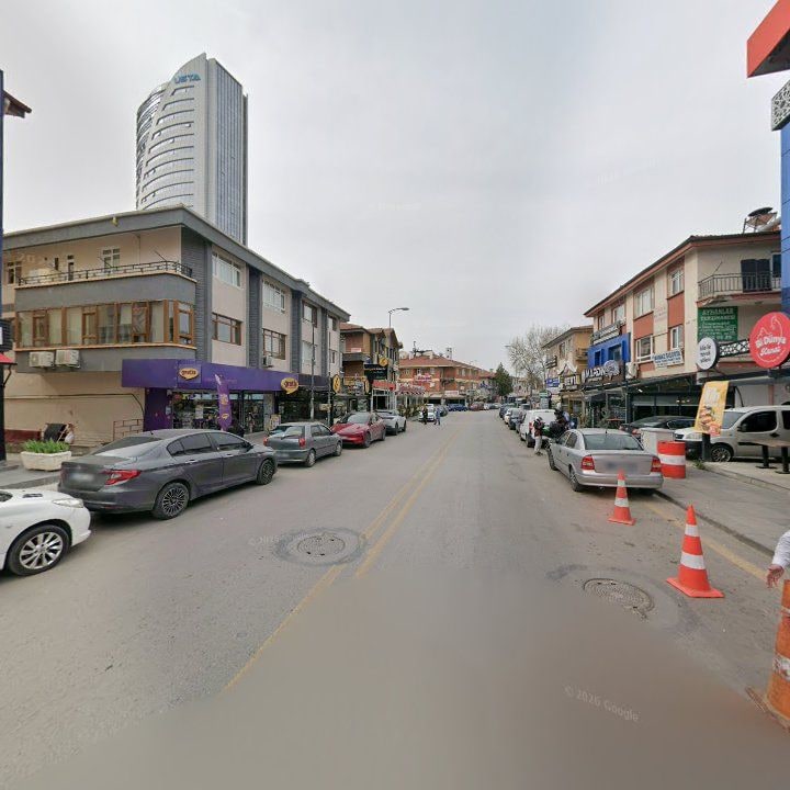Fotoğraf 11