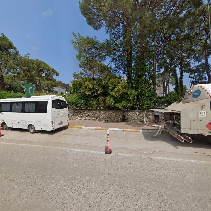 Fotoğraf 11