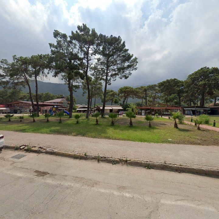Fotoğraf 9