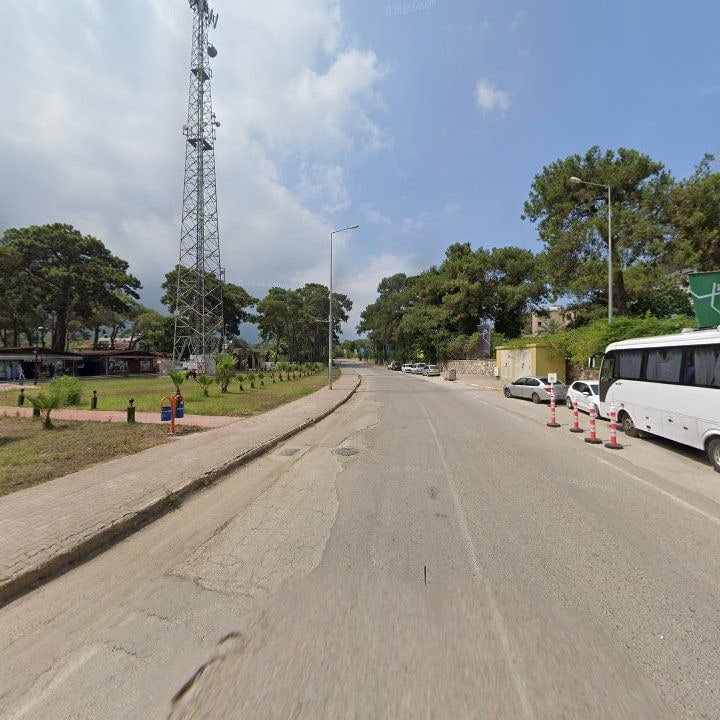 Fotoğraf 10