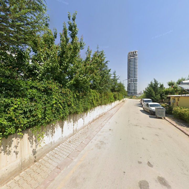 Fotoğraf 11