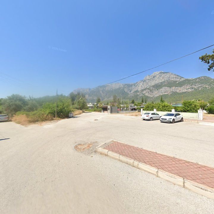 Fotoğraf 8