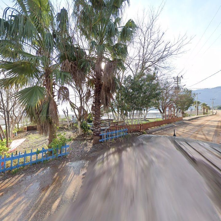 Fotoğraf 9