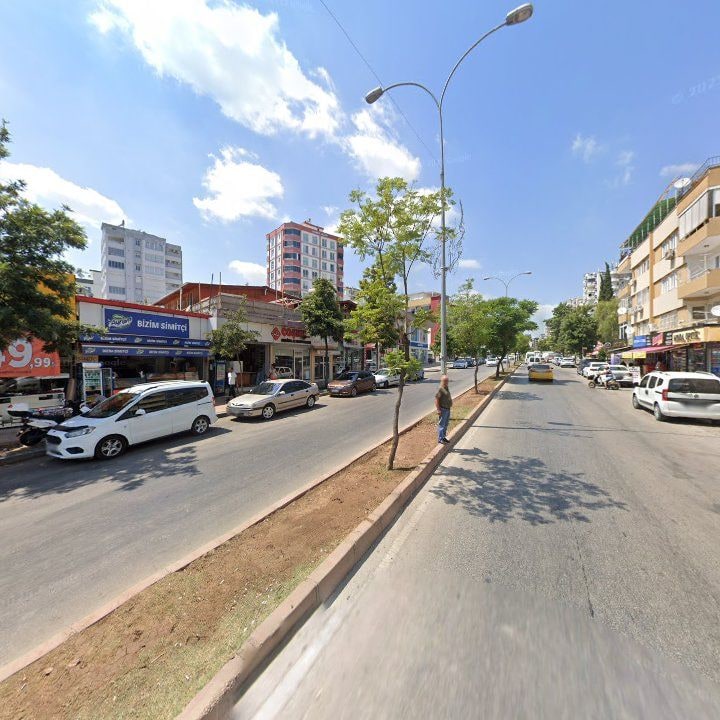 Fotoğraf 7