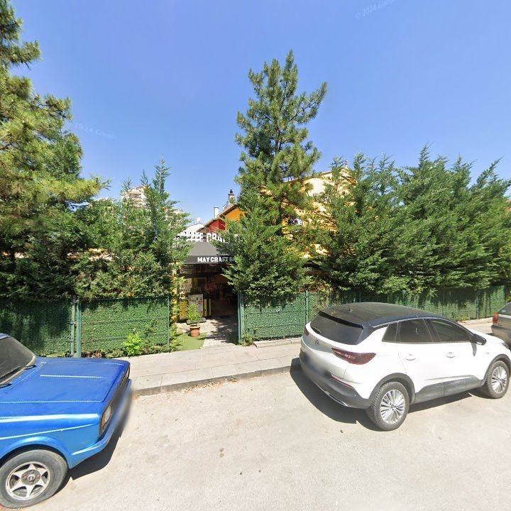 Fotoğraf 10