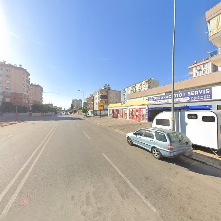 Fotoğraf 11