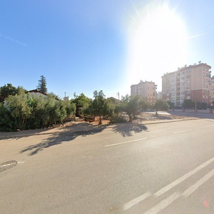 Fotoğraf 10