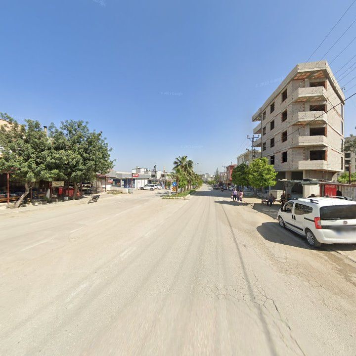 Fotoğraf 12
