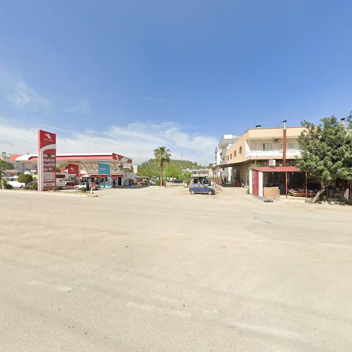 Fotoğraf 11