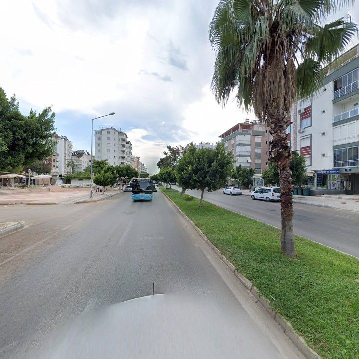 Fotoğraf 7