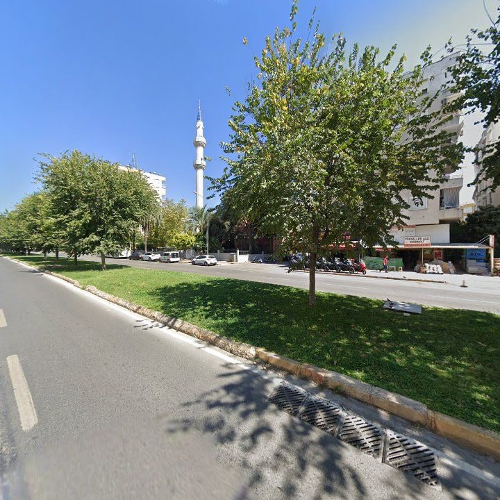 Fotoğraf 8