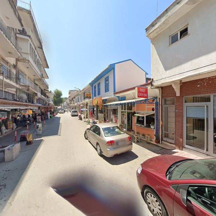Fotoğraf 7