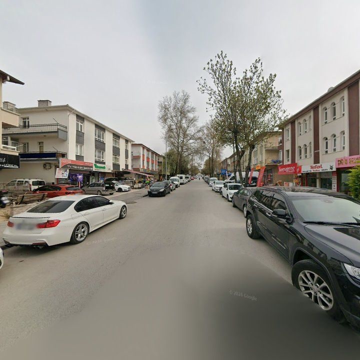 Fotoğraf 10