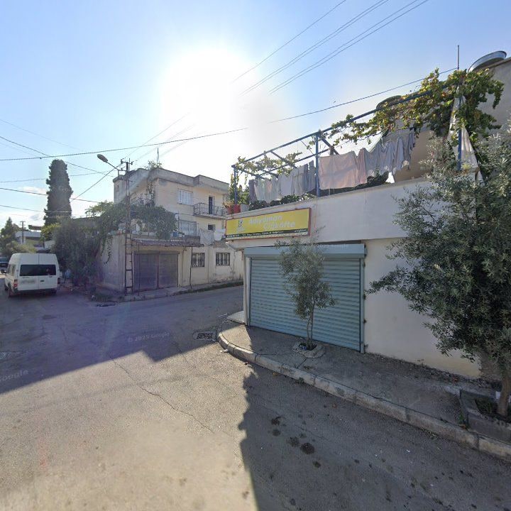 Fotoğraf 7