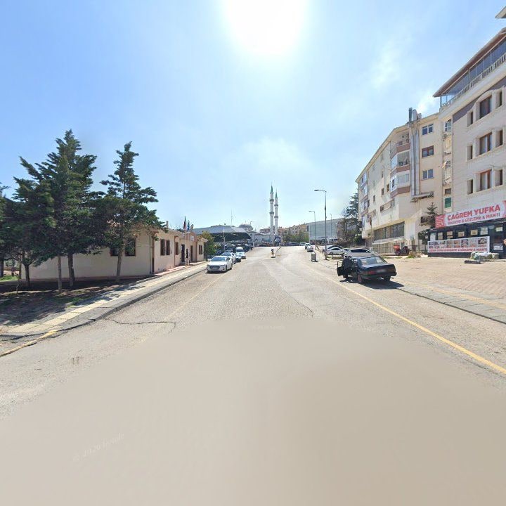 Fotoğraf 7