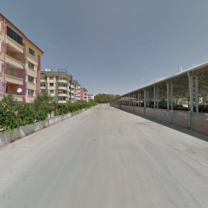 Fotoğraf 13