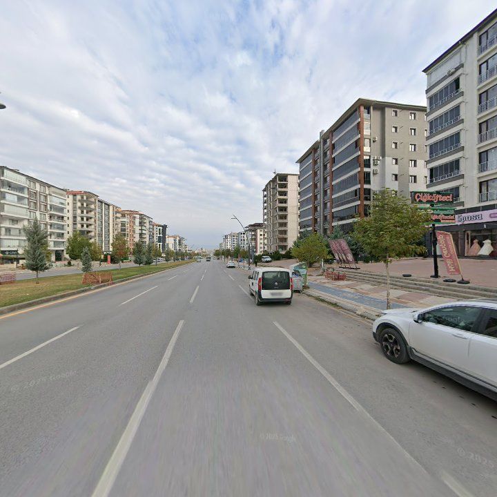 Fotoğraf 13