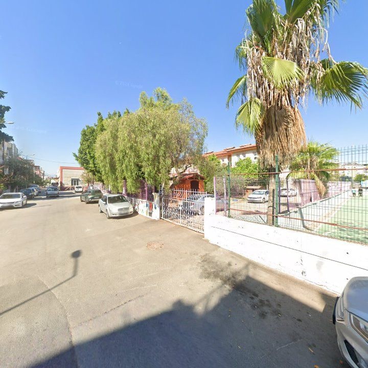 Fotoğraf 8