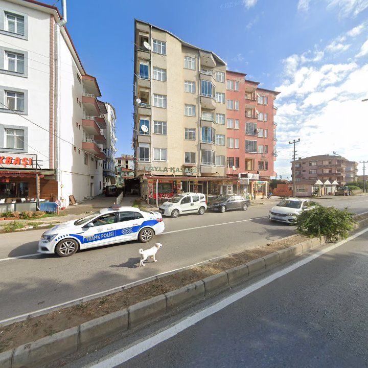 Fotoğraf 8