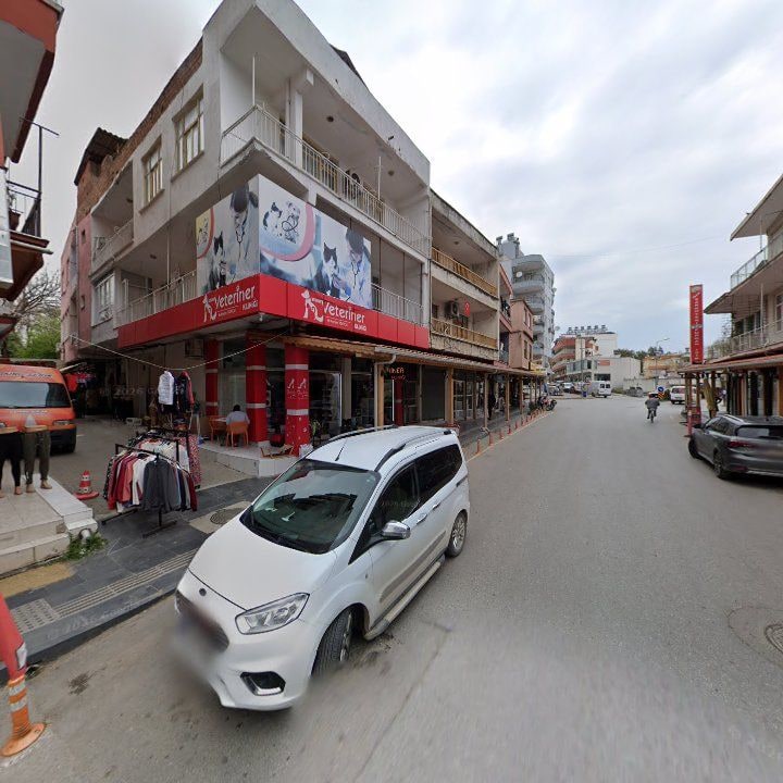 Fotoğraf 8