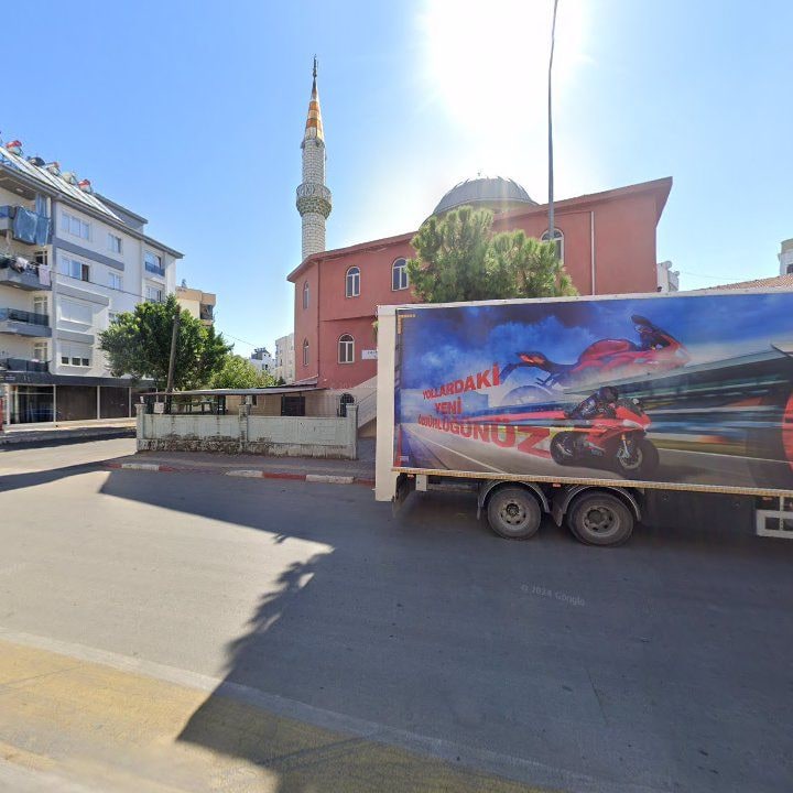 Fotoğraf 6