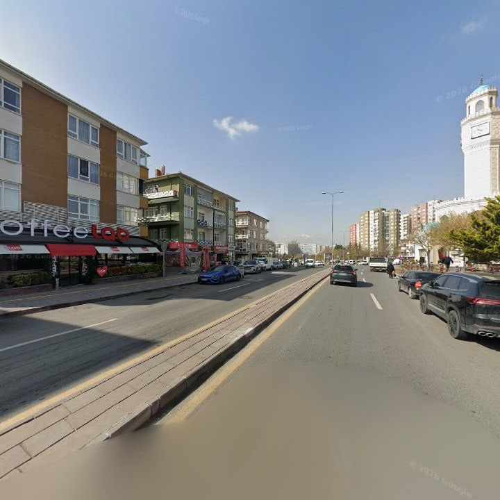 Fotoğraf 11