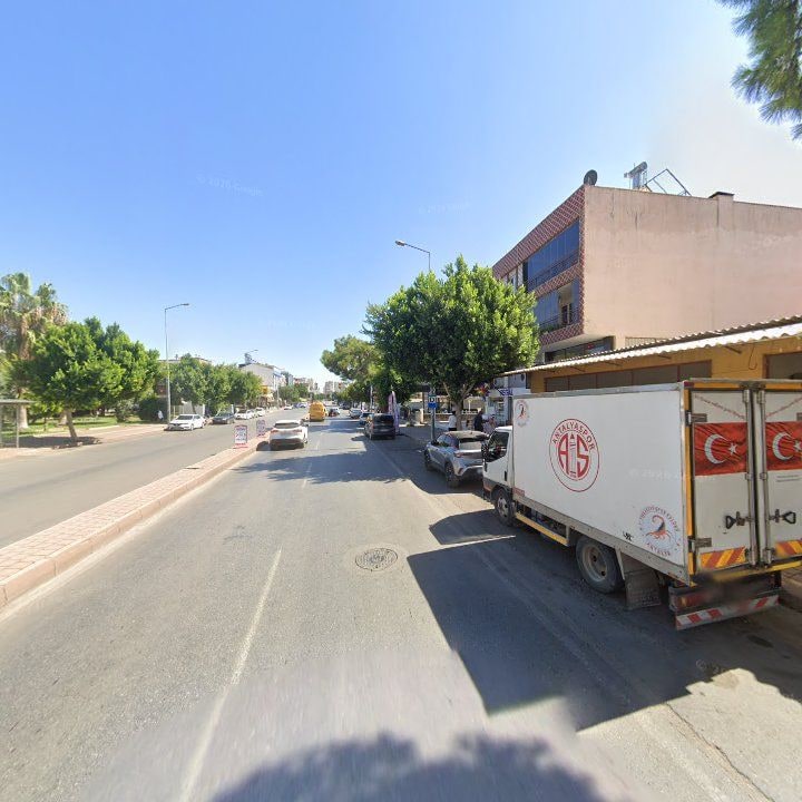 Fotoğraf 9