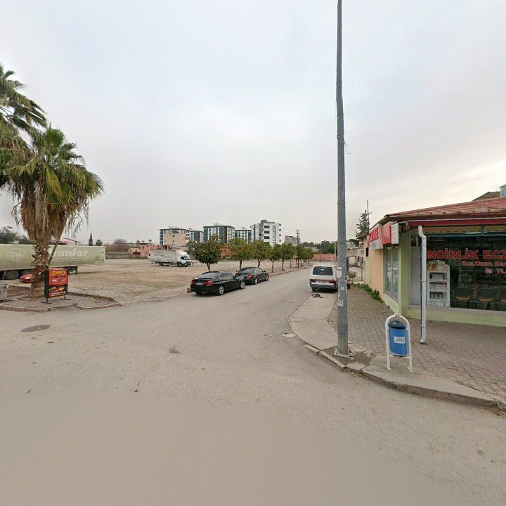 Fotoğraf 7