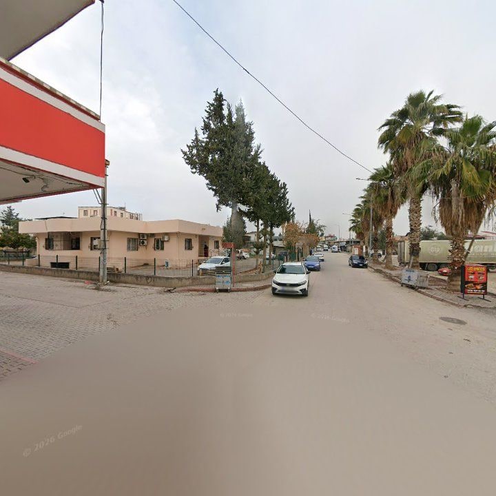 Fotoğraf 6