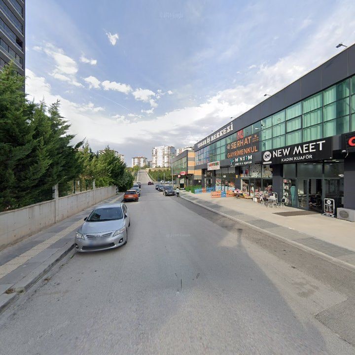 Fotoğraf 11