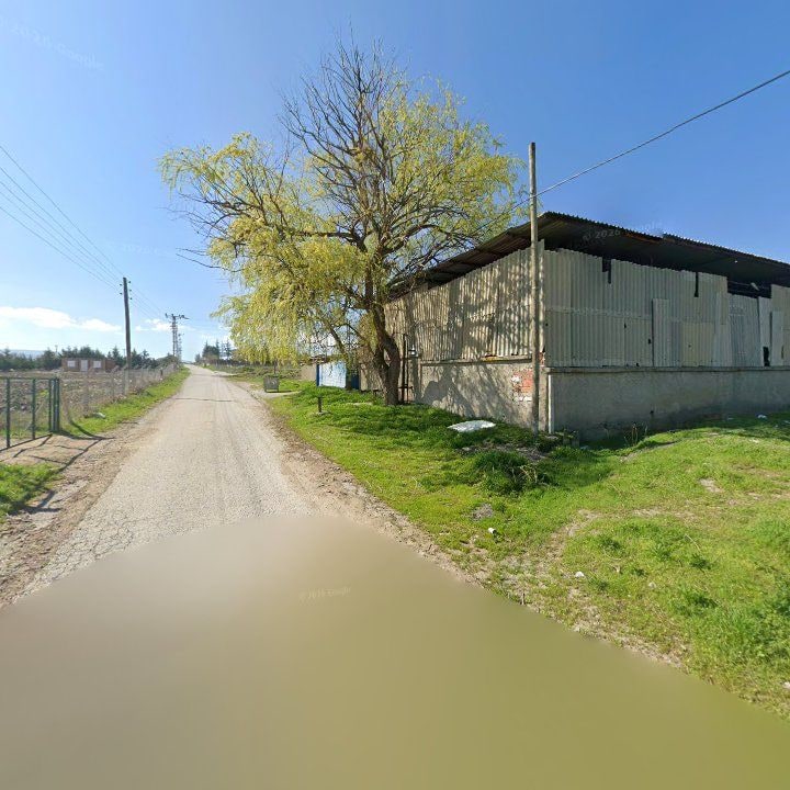 Fotoğraf 2