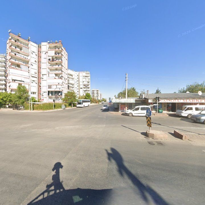 Fotoğraf 12