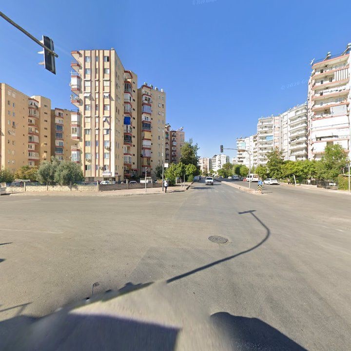 Fotoğraf 11