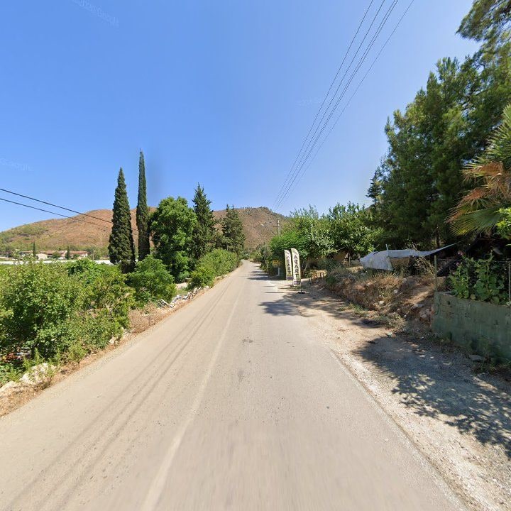 Fotoğraf 10