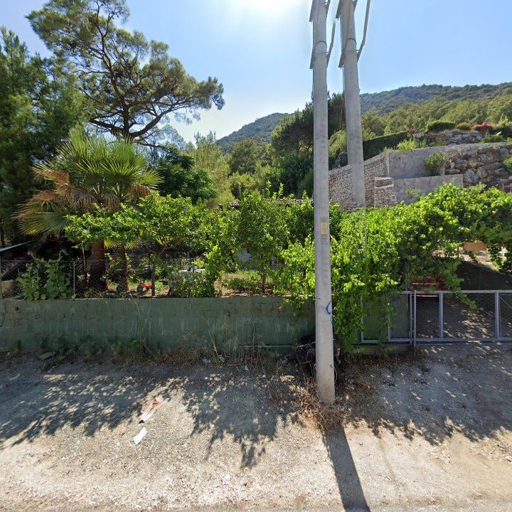 Fotoğraf 11