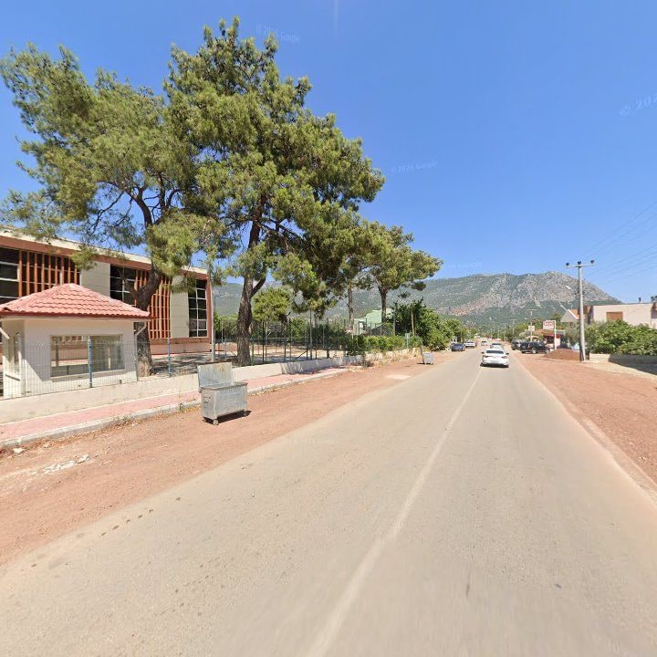 Fotoğraf 9