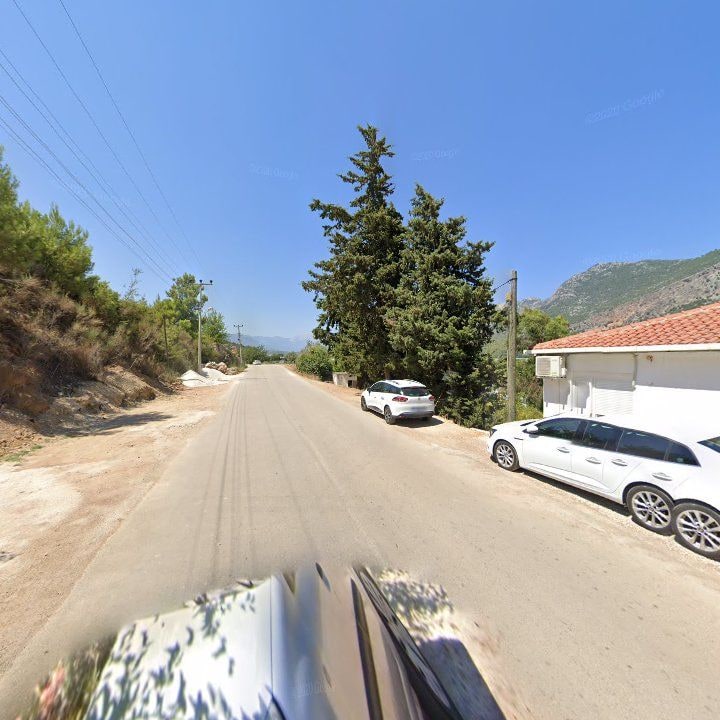 Fotoğraf 11