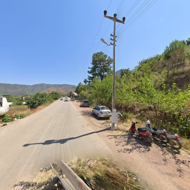 Fotoğraf 9