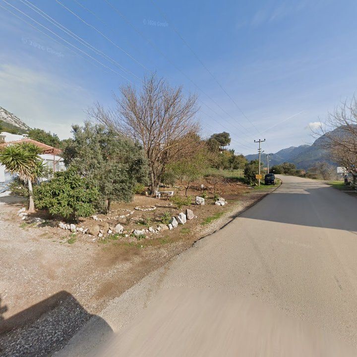 Fotoğraf 13