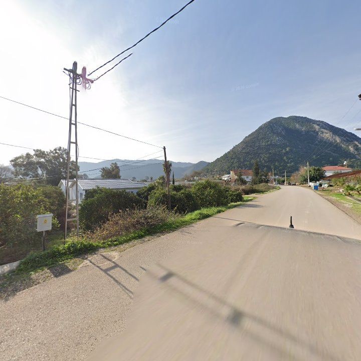 Fotoğraf 11