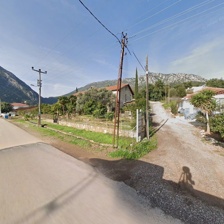 Fotoğraf 12