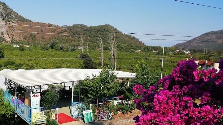 Fotoğraf 8